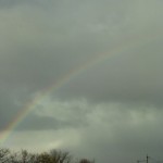 神宮からの虹